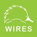 wires-150x150